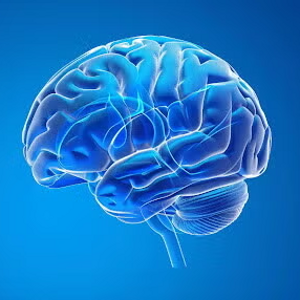 Neurology topic image