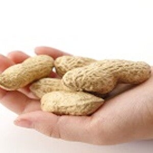 69th Nestlé Nutrition Institute Workshop: More than just calories – Triggers for Adaptation (events)