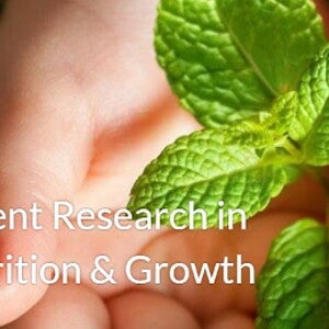 89th Nestlé Nutrition Institute Workshop: Recent Research in Nutrition & Growth (events)