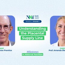 Understanding the Placental Supply Line