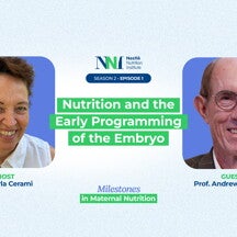 Nutrition and the Early Programming of the Embryo