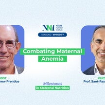 Combating Maternal Anemia