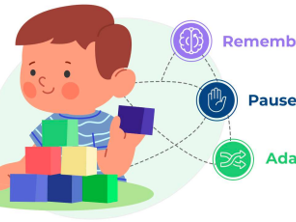 Executive Function in Toddlers