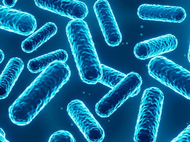 11_article_header_v2