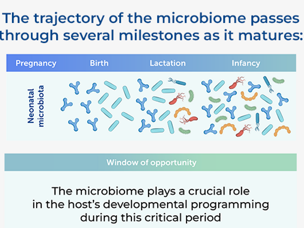 Microbiome Maturation Trajectory and Key Milestones in Early Life