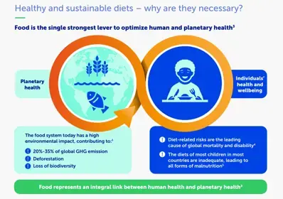 Health and nutrition diet