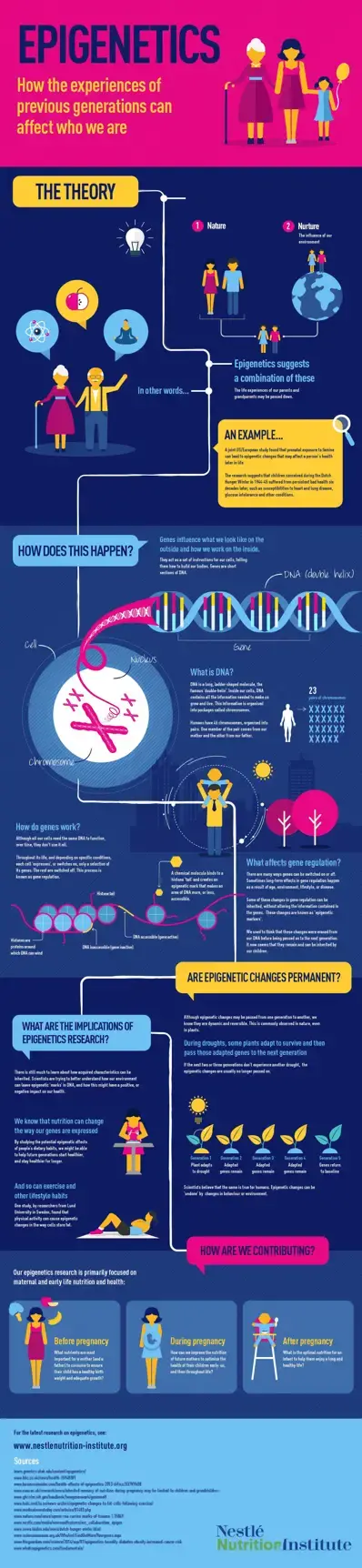 Epigenetics (infographics)