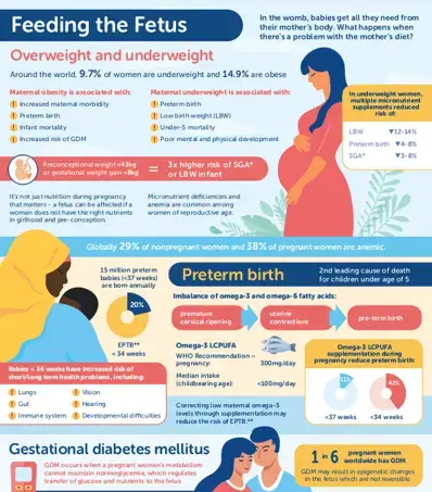 Feeding the Fetus (infographics)
