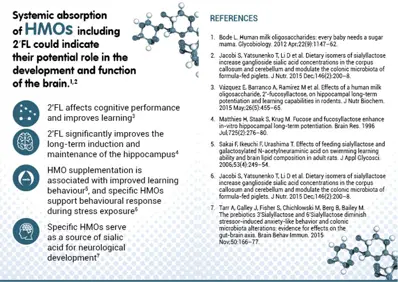 Do HMOs have any effects on brain development and cognition? (infographics)
