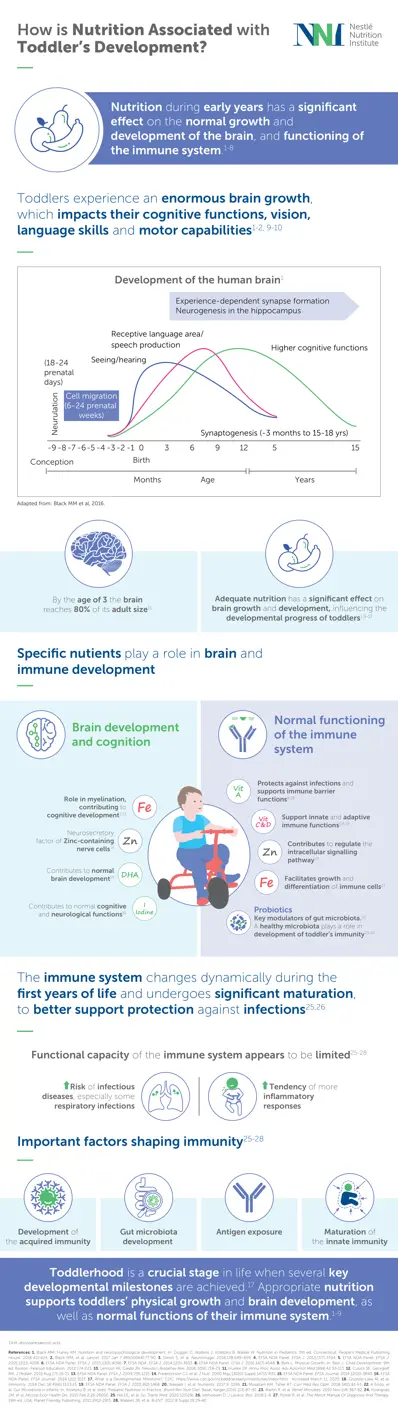 How is Nutrition Associated with the Toddler Development? (infographics)