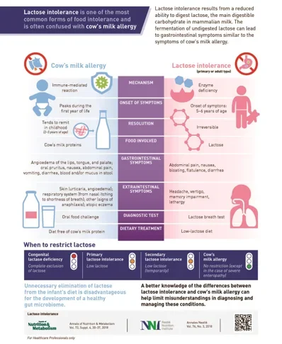 Lactose Intolerance: Common Misunderstandings (infographics)