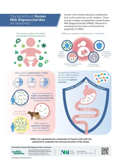The benefits of Human Milk Oligosaccharides on immunity (infographics)