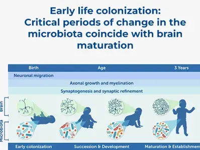 Microbiome and Brain Development: A Tale of Two Systems Microbiome and Brain Development: A Tale of Two Systems