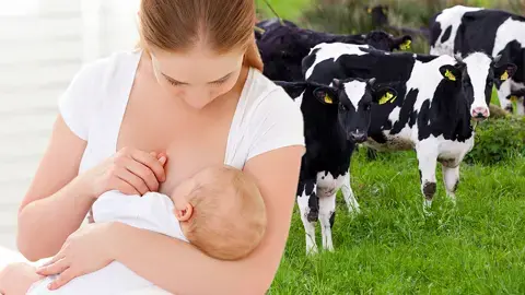 Breastfeeding & Cow Milk Protein Allergy