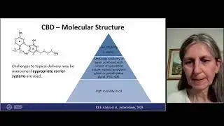 CBD: an Active Ingredient in Topical Products Dr. Antonella Casiraghi