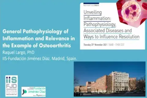 General Pathophysiology of Inflammation and Relevance in the Example of Osteoarthritis