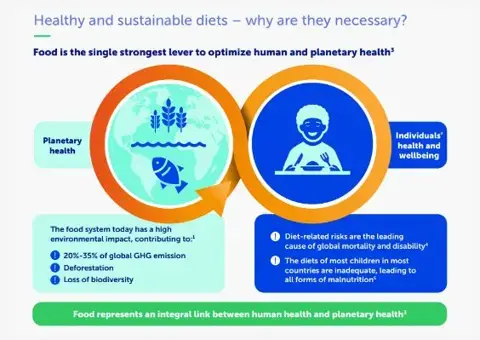 Healthy and sustainable nutrition for children: important considerations