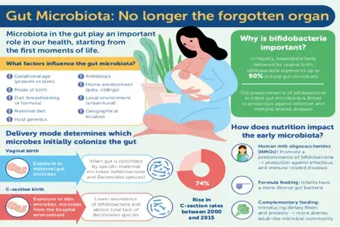 Infographic preview image Infographic preview image