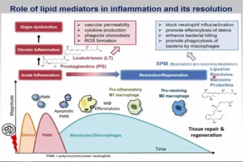 Resolution of inflammation - the Way Out for many Common Disorders