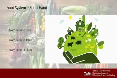 The dawn of transforming food systems towards healthier and affordable diets The dawn of transforming food systems towards healthier and affordable diets