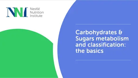 Carbohydrates & Sugars metabolism and classification: the basics