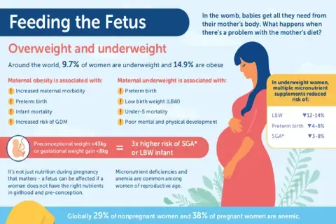 Feeding the Fetus (infographics)