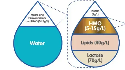 What you need to know about HMOs (infographics)