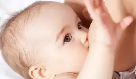 Module 2: Effects of Human Milk Oligosaccharides on Gut Microbiota and beyond Module 2: Effects of Human Milk Oligosaccharides on Gut Microbiota and beyond