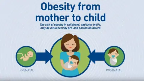 Faster weight gain in infancy predicts higher blood pressure in early childhood (news)