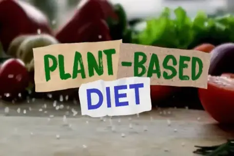plant based diet landscape.png plant based diet landscape.png