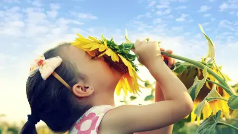 Allergies (nutrition topics)
